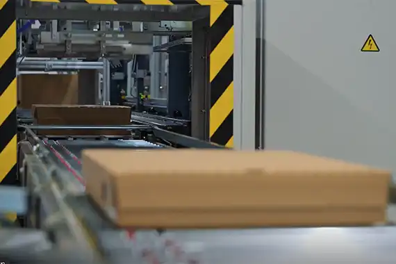 carton pour illustrer le right-sizing